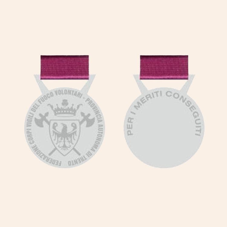 Medaglia al merito della Federazione - Argento