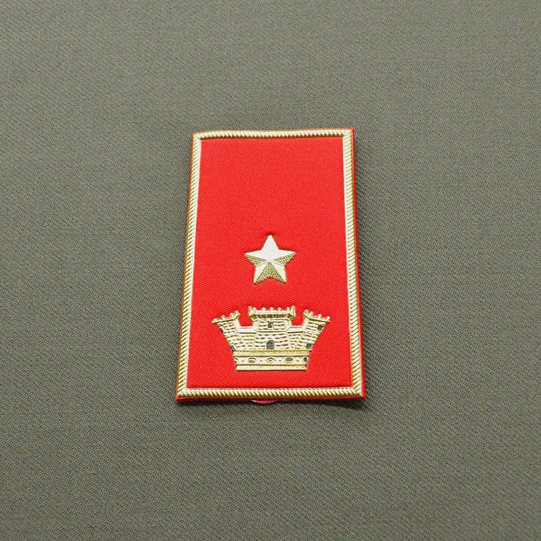 Grado capo tecnico - Vice Ispettore