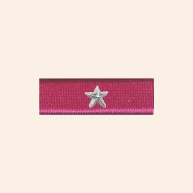 Nastrino medaglia al merito della Federazione - Argento