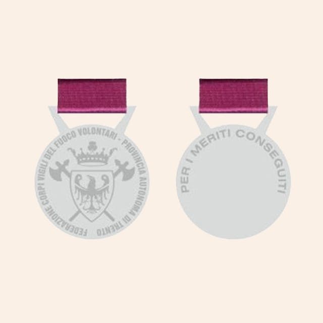 Medaglia al merito della Federazione - Argento