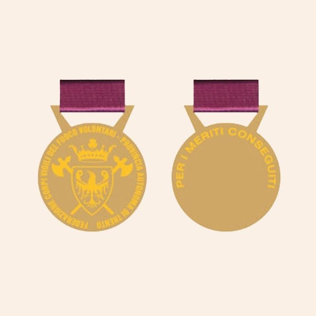 Medaglia al merito della Federazione - Oro